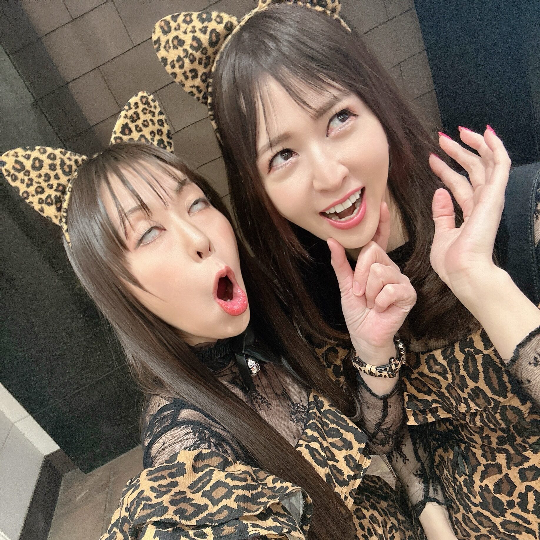 でんでんさん専用ページ 圧巻